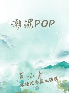 潮湿POP