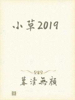 小草2019