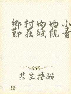 乡村肉肉小说细节在线观看