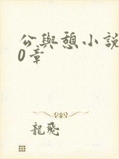 公与憩小说400章