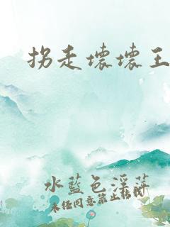 拐走坏坏王爷