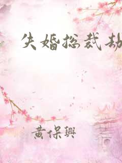 失婚总裁劫前妻