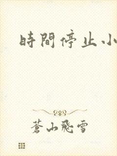 时间停止小说