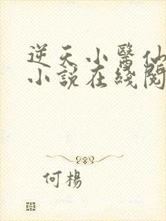 逆天小医仙陈平小说在线阅读