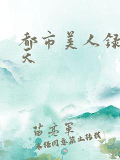 都市美人录龙傲天