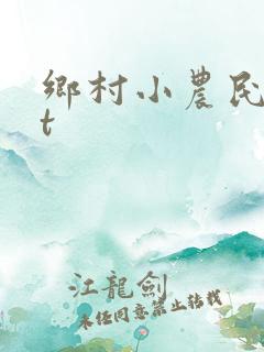乡村小农民txt