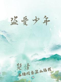 盗爱少年
