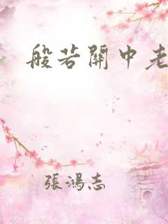 般若关中老人