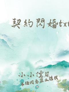 契约闪婚txt