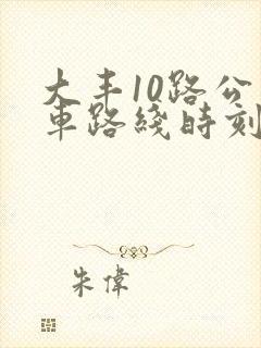 大丰10路公交车路线时刻表