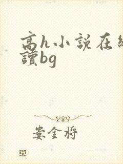 高h小说在线阅读bg