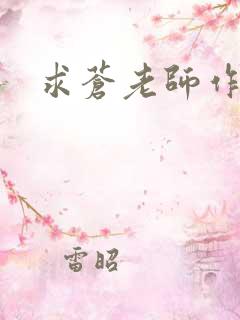 求苍老师作品