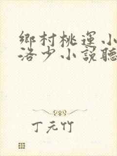 乡村桃运小神医洛少小说听有声小说