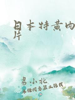 日本特黄肉体大片