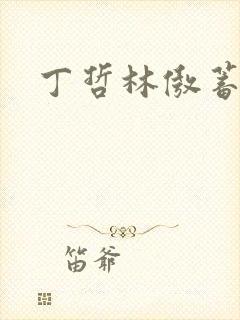 丁哲林傲蓄