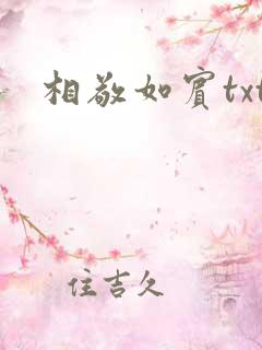 相敬如宾txt