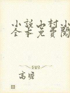 小说山村小农民全本免费阅读