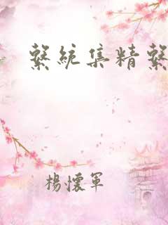 系统集精系统