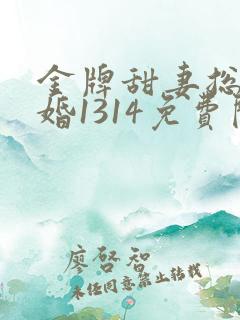 金牌甜妻总裁宠婚1314免费阅读