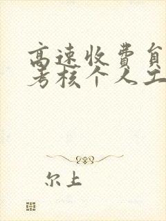 高速收费员年终考核个人工作总结