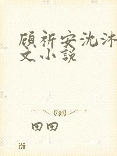 顾祈安沈沐婉全文小说