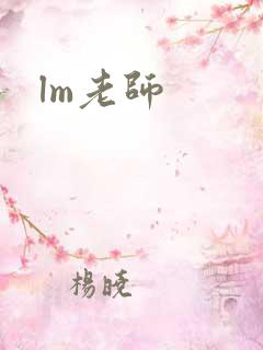 lm老师