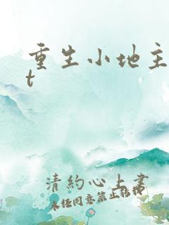 重生小地主txt
