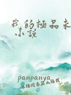 我的极品未婚妻 小说