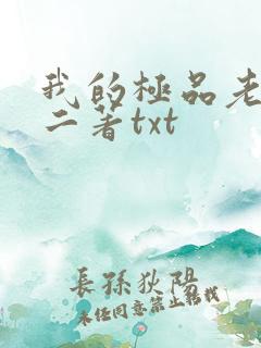 我的极品老婆小二著txt