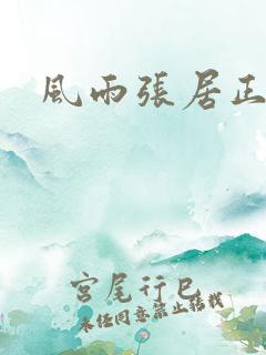 风雨张居正下载