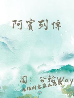 阿宾列传