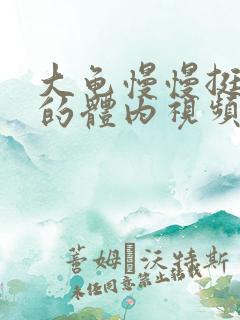 大龟慢慢挺进我的体内视频