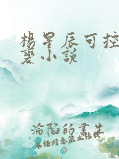 杨星辰可控核聚变小说