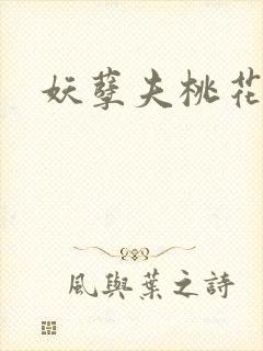 妖孽夫桃花妻