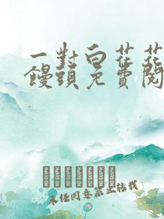 一对白花花的大馒头免费阅读