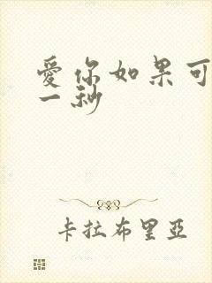 爱你如果可以早一秒