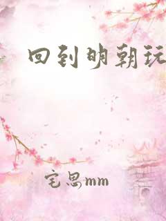 回到明朝玩网游