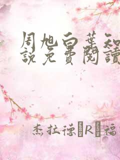 周旭白叶知韵小说免费阅读最新章节