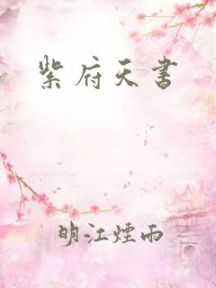 紫府天书