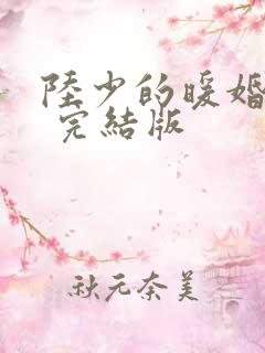 陆少的暖婚新妻 完结版