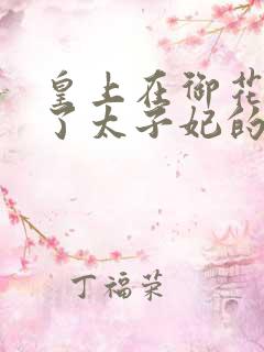 皇上在御花园c了太子妃的网剧