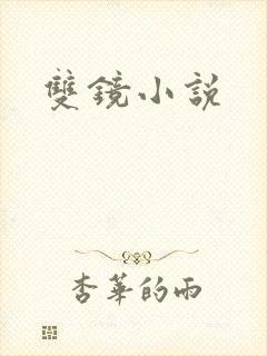 双镜小说