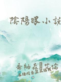 阴阳眼小说
