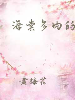 海棠多肉的文笔