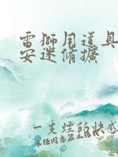 雷狮用道具玩哭安迷修扩