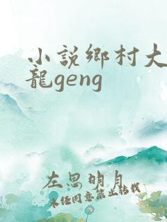 小说乡村大凶器龙geng