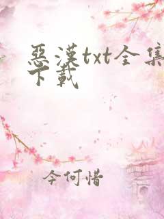 恶汉txt全集下载