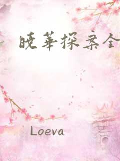 晓华探案全集
