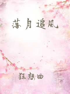 落月追风
