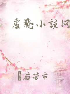 卢飞小说网